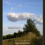 Tytuł: Agnostycyzm
Autor: Ks. Fryderyk Klimke Sj
Wydawnictwo: Armoryka
Formaty: EPUB, MOBI