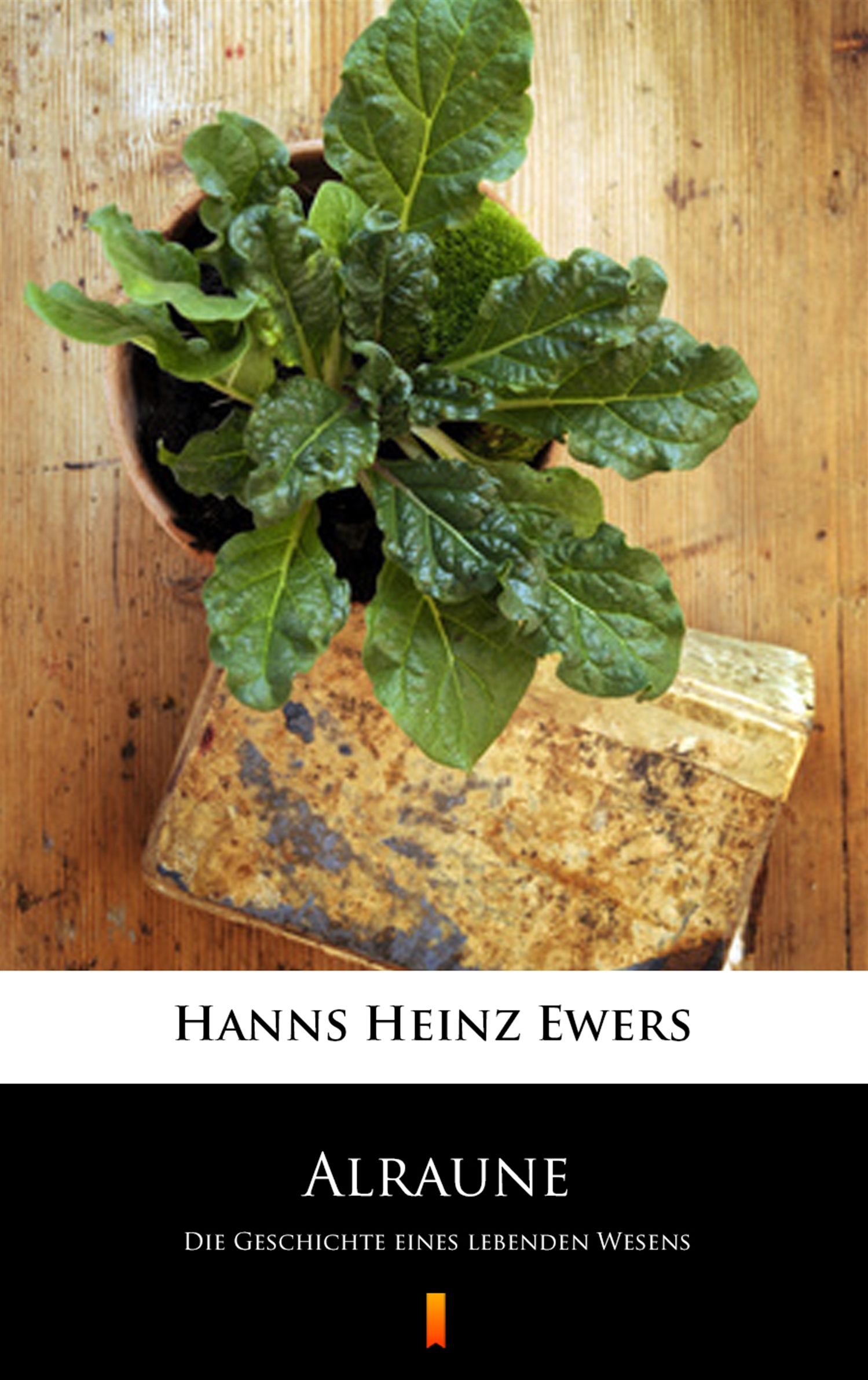Tytuł: Alraune. Die Geschichte eines lebenden Wesens
Autor: Hanns Heinz Ewers
Wydawnictwo: KtoCzyta.pl
Formaty: EPUB, MOBI
