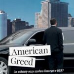 Tytuł: American Greed
Autor: Peter Luk
Wydawnictwo: Novae Res
Formaty: EPUB