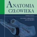 Tytuł: Anatomia człowieka t.2
Autor: 
Wydawnictwo: PZWL
Formaty: EPUB, MOBI