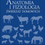 Tytuł: Anatomia i fizjologia zwierząt domowych
Autor: Klaus Loeffler
Wydawnictwo: PZWL
Formaty: MOBI, EPUB