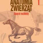 Tytuł: Anatomia zwierząt, t. 1
Autor: Kazimierz Krysiak, Henryk Kobryń, Franciszek Kobryńczuk
Wydawnictwo: Wydawnictwo Naukowe PWN
Formaty: PDF