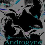 Tytuł: Androgyne
Autor: Stanisław Przybyszewski
Wydawnictwo: Armoryka
Formaty: MOBI, EPUB