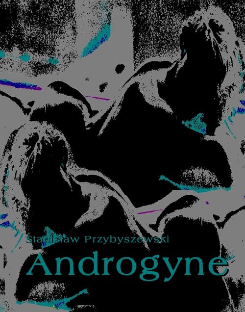 Tytuł: Androgyne
Autor: Stanisław Przybyszewski
Wydawnictwo: Armoryka
Formaty: MOBI, EPUB