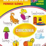 Tytuł: Angielski dla dzieci 11. Pierwsze słówka. Ćwiczenia. 6-8 lat
Autor: Monika Ostrowska
Wydawnictwo: Literat
Formaty: PDF