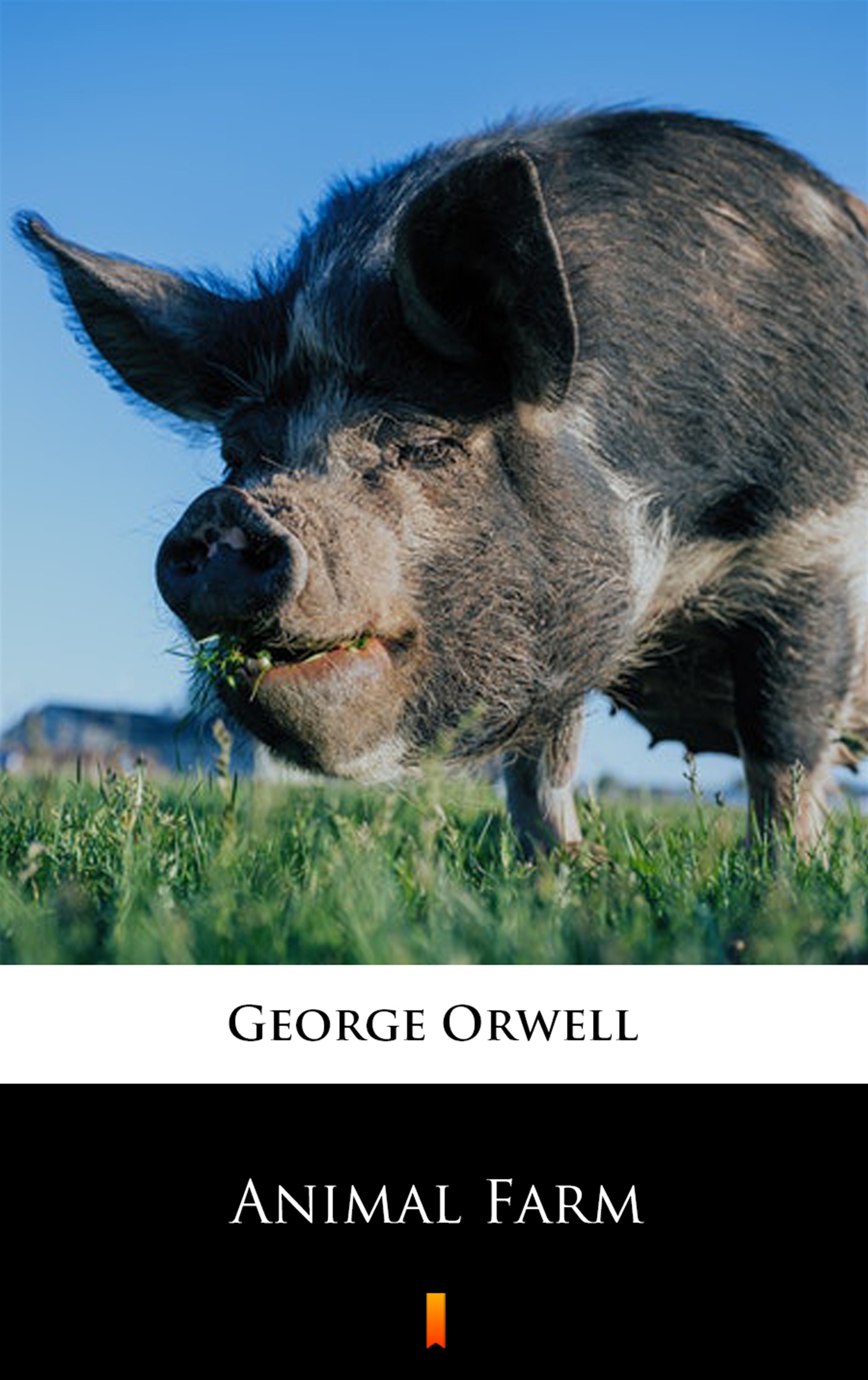 Tytuł: Animal Farm
Autor: George Orwell
Wydawnictwo: KtoCzyta.pl
Formaty: EPUB, MOBI