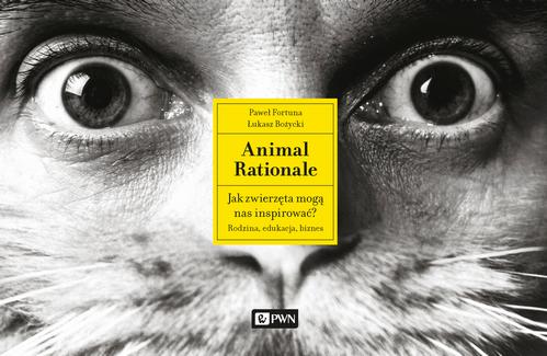 Tytuł: Animal Rationale
Autor: Paweł Fortuna, Łukasz Bożycki
Wydawnictwo: Wydawnictwo Naukowe PWN
Formaty: MP3