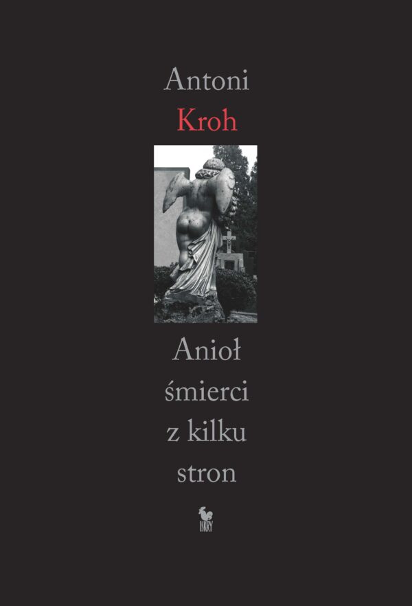 Anioł śmierci z kilku stron — okładka e-booka