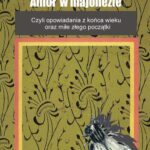 Anioł w majonezie — okładka e-booka
