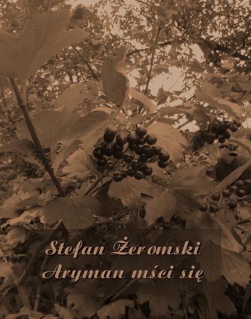 Tytuł: Aryman mści się
Autor: Stefan Żeromski
Wydawnictwo: Armoryka
Formaty: MOBI, EPUB