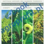 Tytuł: Atlas Burak - chwasty, choroby, szkodniki, niedobory
Autor: Jacek Piszczek, Dariusz Górski, Wojciech Miziniak, Agnieszka Ulatowska
Wydawnictwo: Agro Wydawnictwo
Formaty: PDF