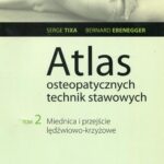 Tytuł: Atlas osteopatycznych technik stawowych. Tom 2. Miednica i przejście lędźwiowo-krzyżowe
Autor: Serge Tixa, Bernard Ebernegger
Wydawnictwo: PZWL
Formaty: EPUB, MOBI