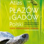 Tytuł: Atlas płazów i gadów Polski
Autor: 
Wydawnictwo: Wydawnictwo Naukowe PWN
Formaty: MOBI, EPUB