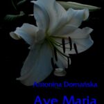Tytuł: Ave Maria
Autor: Antonina Domańska
Wydawnictwo: Armoryka
Formaty: MOBI, EPUB