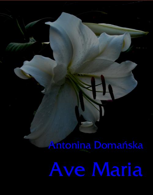 Tytuł: Ave Maria
Autor: Antonina Domańska
Wydawnictwo: Armoryka
Formaty: MOBI, EPUB