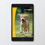 Babeszjoza psów — okładka e-booka