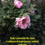 Tytuł: Bajki i powiastki dla dzieci z celniejszych bajkopisarzy polskich wybrane
Autor: Antologia
Wydawnictwo: Armoryka
Formaty: EPUB, MOBI