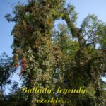 Tytuł: Ballady, legendy czeskie...
Autor: Antologia
Wydawnictwo: Armoryka
Formaty: MOBI, EPUB