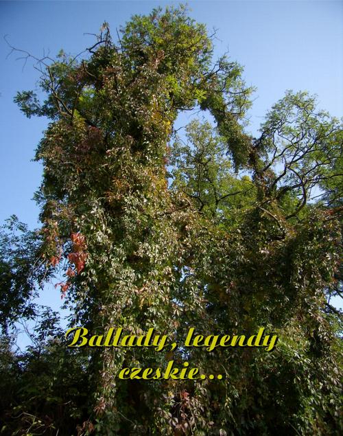 Tytuł: Ballady, legendy czeskie...
Autor: Antologia
Wydawnictwo: Armoryka
Formaty: MOBI, EPUB