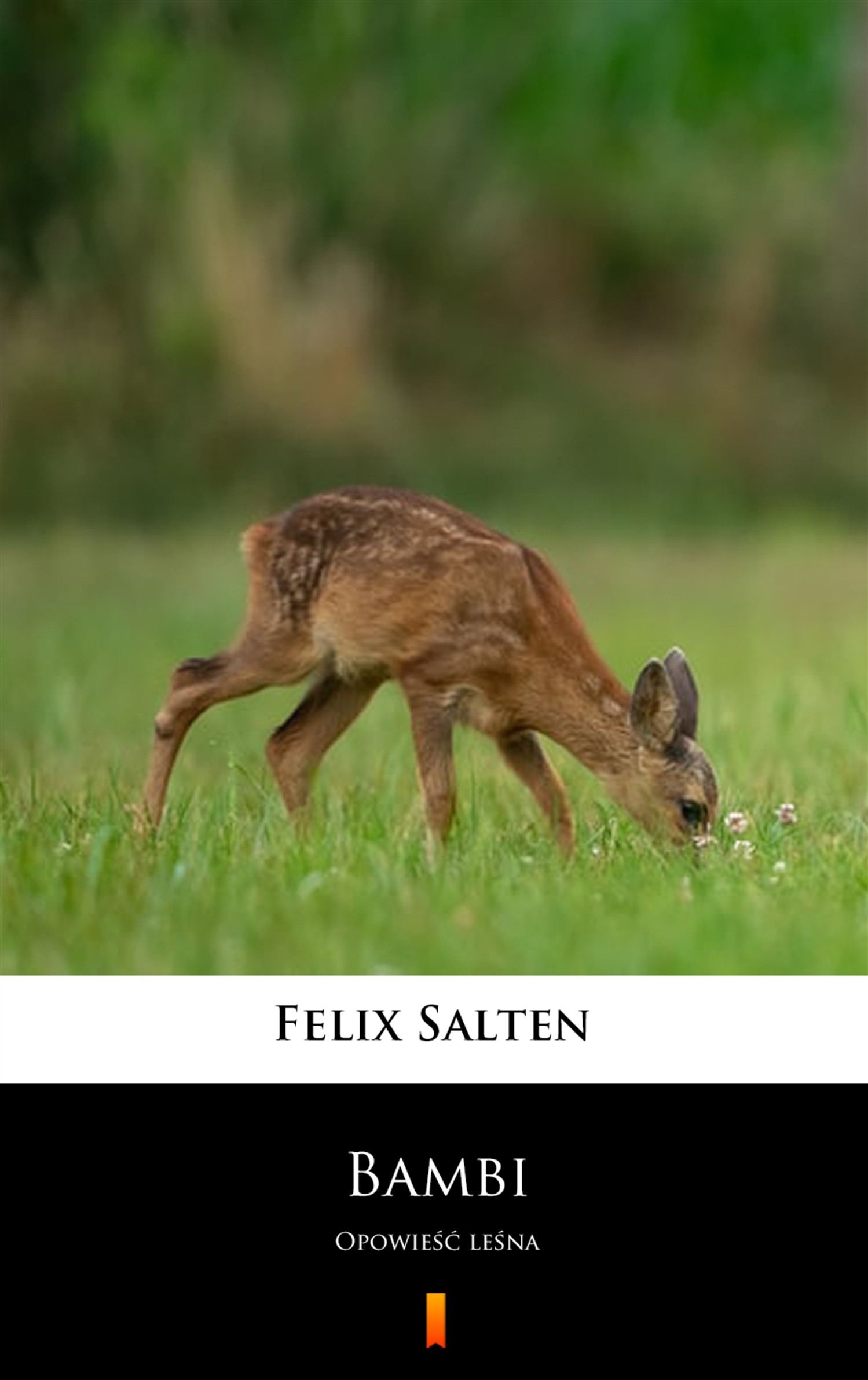 Tytuł: Bambi. Opowieść leśna
Autor: Felix Salten
Wydawnictwo: KtoCzyta.pl
Formaty: EPUB, MOBI
