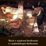 Tytuł: Baśń o uśpionej królewnie i o najśmielszym królewiczu
Autor: Wasilij Żukowski
Wydawnictwo: Armoryka
Formaty: MOBI, EPUB