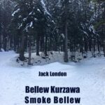 Tytuł: Bellew Kurzawa. Smoke Bellew
Autor: Jack London
Wydawnictwo: Armoryka
Formaty: EPUB, MOBI