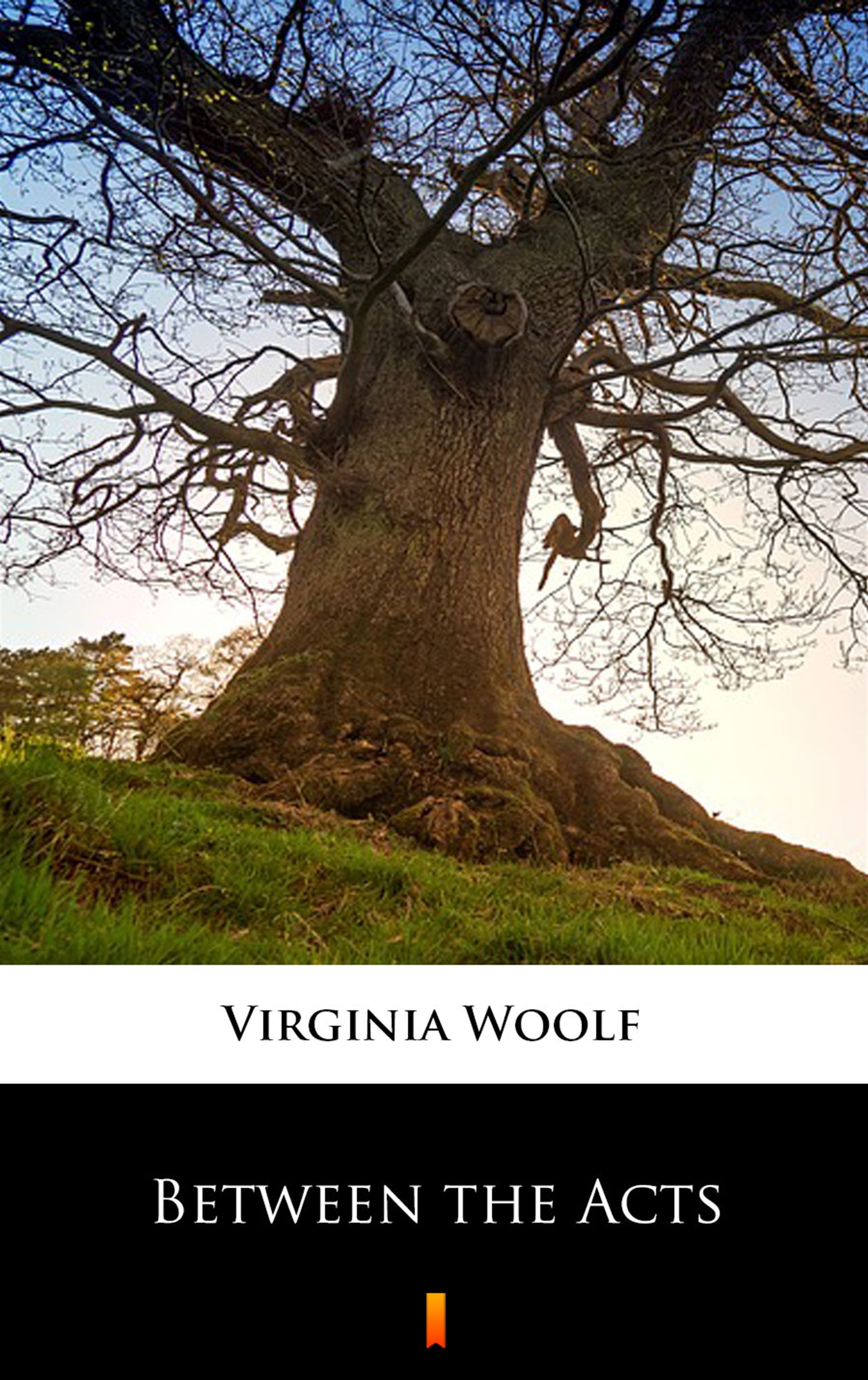 Tytuł: Between the Acts
Autor: Virginia Woolf
Wydawnictwo: KtoCzyta.pl
Formaty: EPUB, MOBI