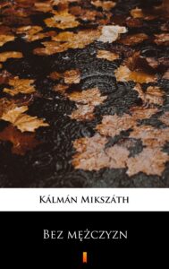 Bez mężczyzn — okładka e-booka