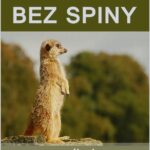 Tytuł: Bez spiny, czyli nie ma czego się bać
Autor: Andrzej Graca
Wydawnictwo: Wydawnictwo e-bookowo
Formaty: MOBI, EPUB, PDF