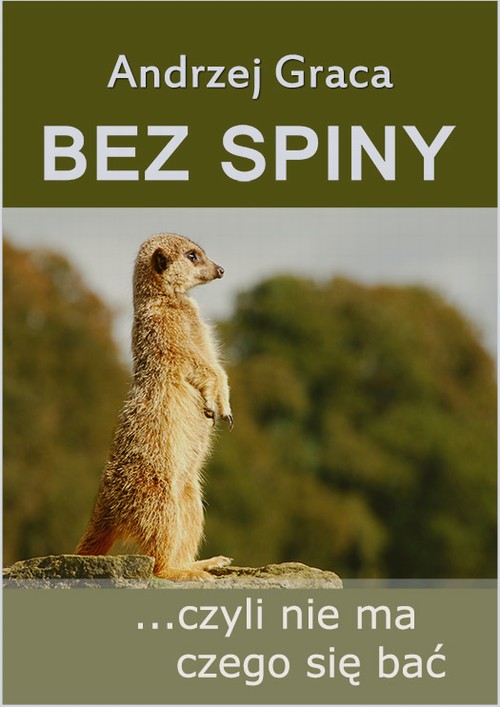 Tytuł: Bez spiny, czyli nie ma czego się bać
Autor: Andrzej Graca
Wydawnictwo: Wydawnictwo e-bookowo
Formaty: MOBI, EPUB, PDF