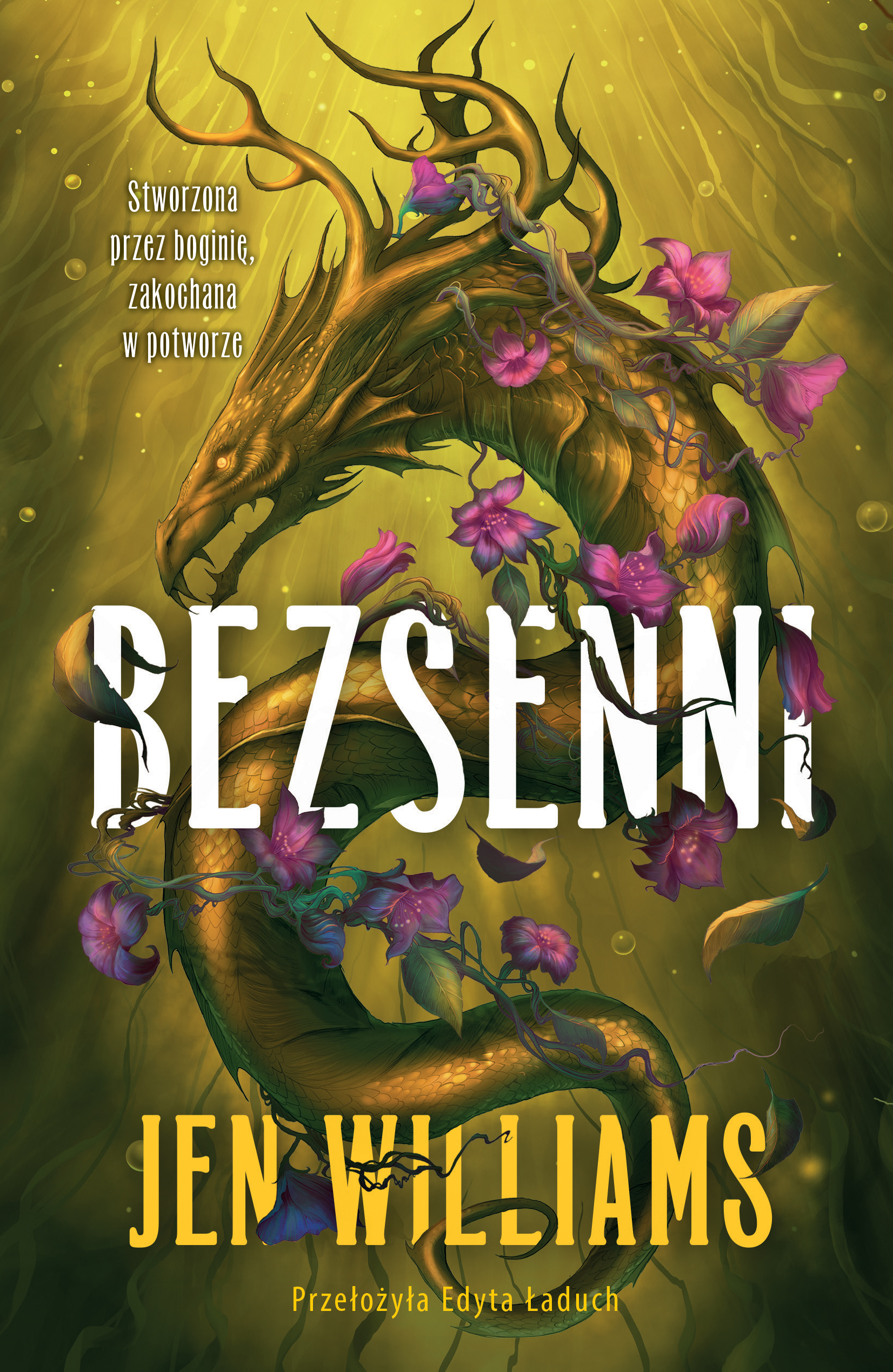 Tytuł: Bezsenni
Autor: Jen Williams
Wydawnictwo: Jaguar
Formaty: EPUB, MOBI