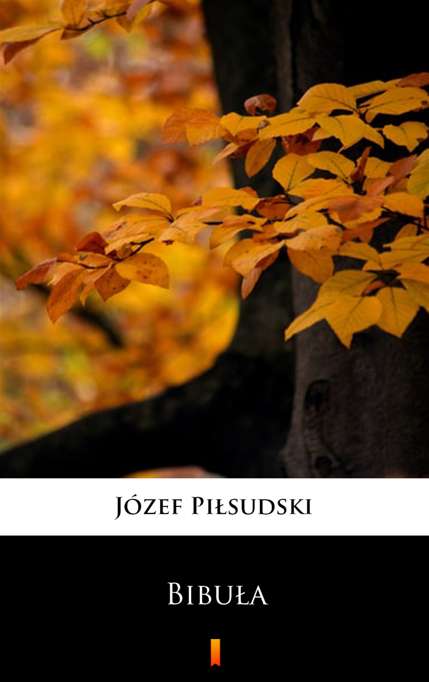 Tytuł: Bibuła
Autor: Józef Piłsudski
Wydawnictwo: KtoCzyta.pl
Formaty: EPUB, MOBI