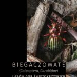 Tytuł: Biegaczowate (Coleoptera, Carabidae) lasów Gór Świętokrzyskich
Autor: Stanisław Huruk, Grzegorz Wróbel
Wydawnictwo: Uniwersytet Jana Kochanowskiego
Formaty: PDF