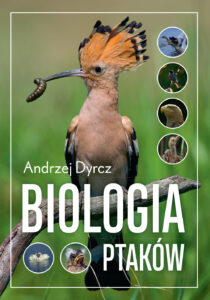 Tytuł: Biologia ptaków
Autor: Andrzej Dyrcz
Wydawnictwo: Sorus
Formaty: EPUB, PDF, MOBI