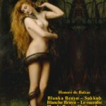 Blanka Bruyn – Sukkub — okładka e-booka