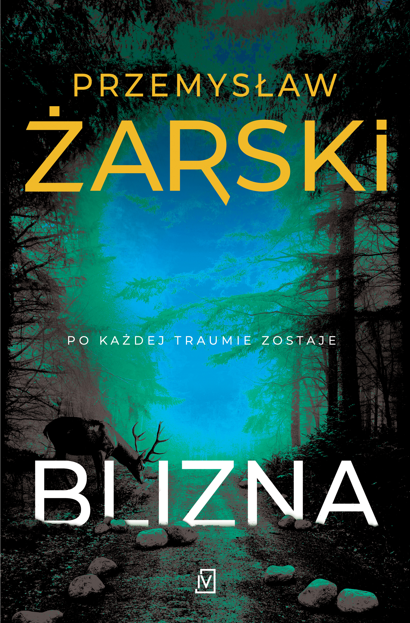 Blizna. Seria z Robertem Kreftem. Tom 2 — okładka e-booka