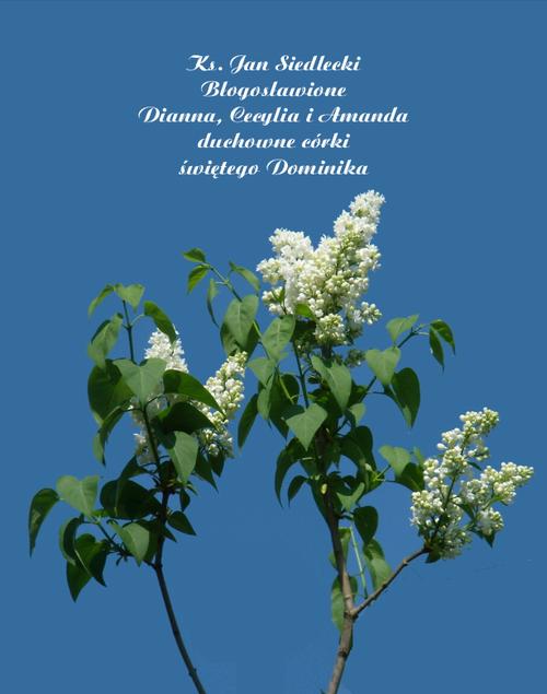 Tytuł: Błogosławione Dianna, Cecylia i Amanda duchowne córki świętego Dominika
Autor: Ks. Jan Siedlecki
Wydawnictwo: Armoryka
Formaty: EPUB, MOBI