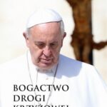Tytuł: Bogactwo drogi krzyżowej
Autor: Paweł Piotrowski
Wydawnictwo: Petrus
Formaty: PDF