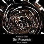 Ból Ptaszęcia i inne baśnie — okładka e-booka