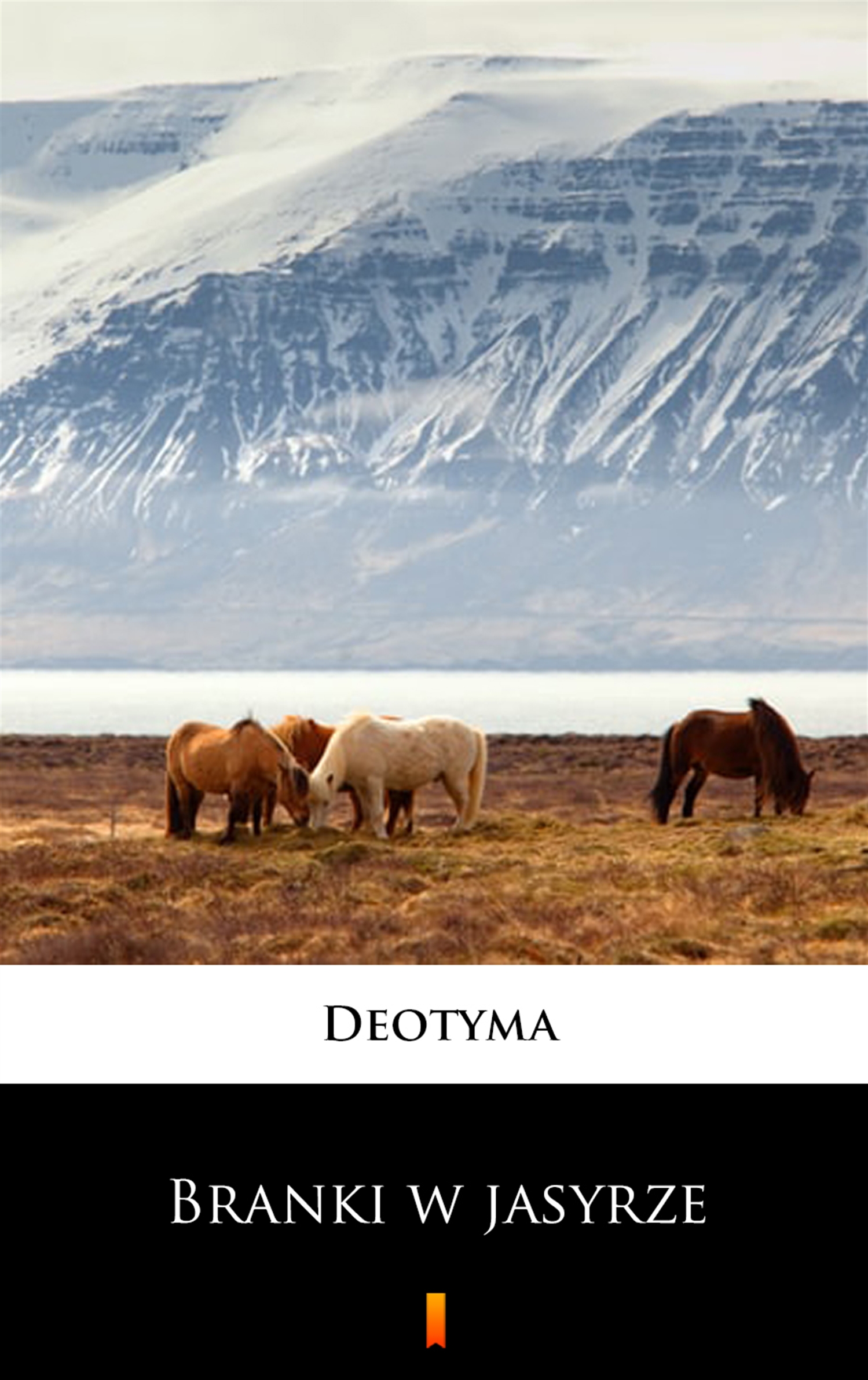 Tytuł: Branki w jasyrze
Autor: Deotyma
Wydawnictwo: KtoCzyta.pl
Formaty: EPUB, MOBI