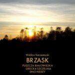 Tytuł: Brzask
Autor: Wacław Sieroszewski
Wydawnictwo: Armoryka
Formaty: EPUB, MOBI