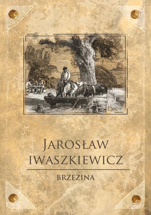 Tytuł: Brzezina
Autor: Jarosław Iwaszkiewicz
Wydawnictwo: SMPB
Formaty: EPUB, MOBI