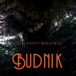 Tytuł: Budnik
Autor: Józef Ignacy Kraszewski
Wydawnictwo: Armoryka
Formaty: MOBI, EPUB
