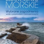 Tytuł: Budownictwo morskie
Autor: Waldemar Magda
Wydawnictwo: Wydawnictwo Naukowe PWN
Formaty: PDF