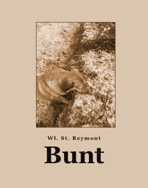 Tytuł: Bunt
Autor: Władysław Stanisław Reymont
Wydawnictwo: Armoryka
Formaty: EPUB, MOBI