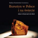 Tytuł: Bursztyn w Polsce i na świecie
Autor: Barbara Kosmowska-Ceranowicz
Wydawnictwo: Wydawnictwa Uniwersytetu Warszawskiego
Formaty: PDF