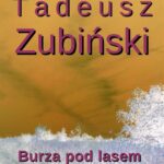 Burza pod lasem — okładka e-booka