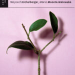 Tytuł: Być tutaj
Autor: Wojciech Eichelberger, Maria Moneta Malewska
Wydawnictwo: Drzewo Babel
Formaty: EPUB, MOBI
