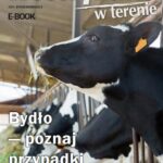 Bydło - poznaj przypadki z terenu — okładka e-booka