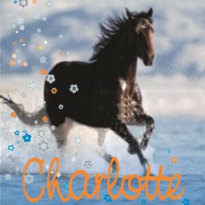 Tytuł: Charlotte i bolesne sekrety
Autor: Nele Neuhaus
Wydawnictwo: Media Rodzina
Formaty: EPUB, MOBI